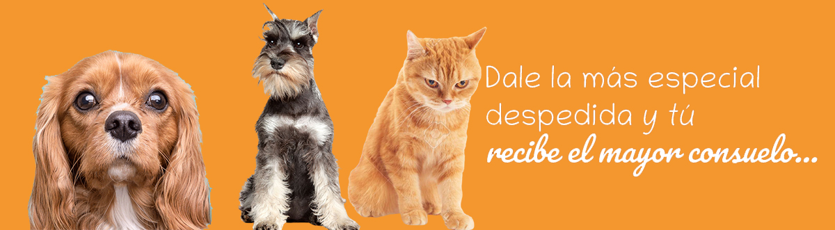 cremacion para mascotas