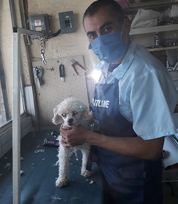 Estetica Canina